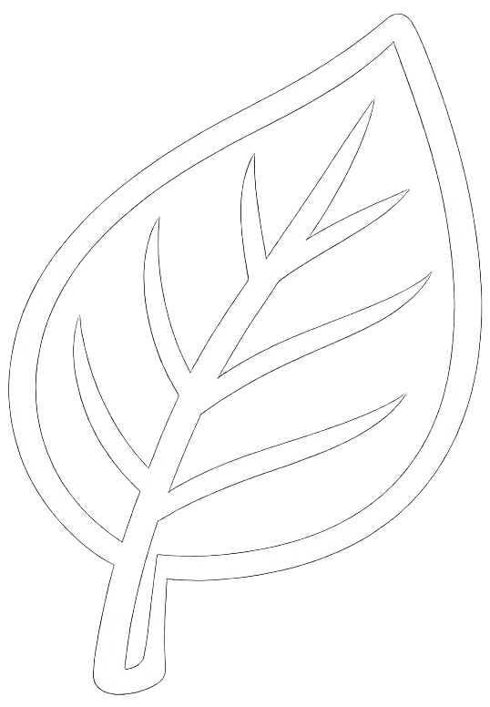 Leaf Icon White Bold Outline-1