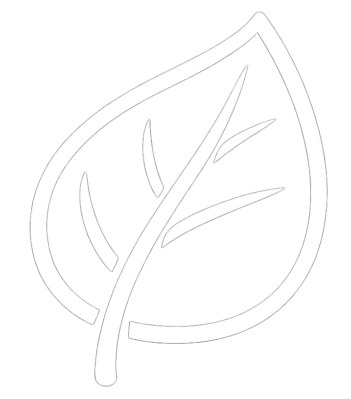 White Bold Thicker Leaf Icon Drawing-3-1