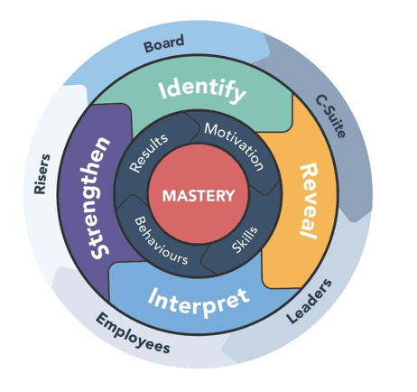 assessment-overview wheel