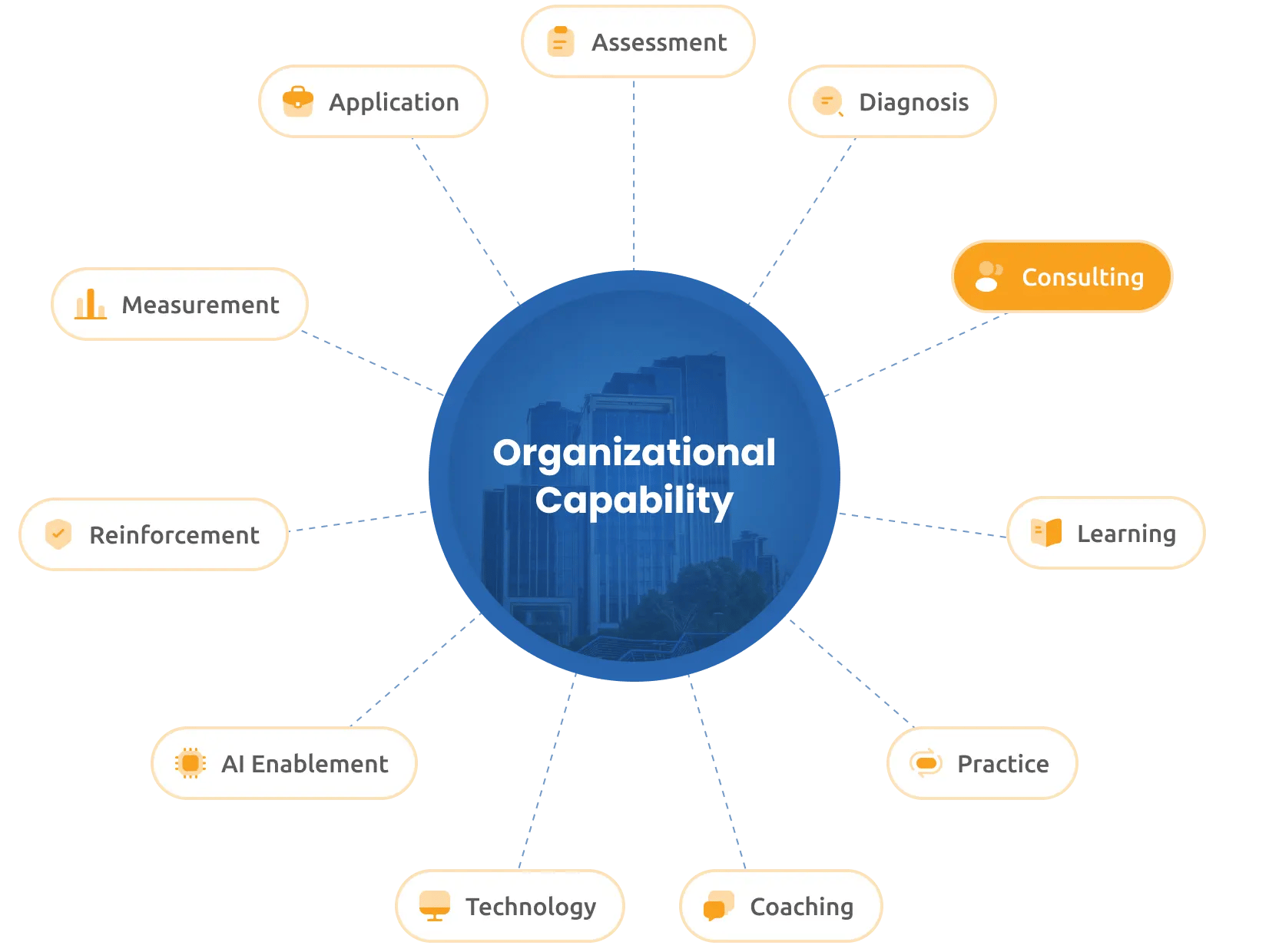 consultancy-org-capabilities