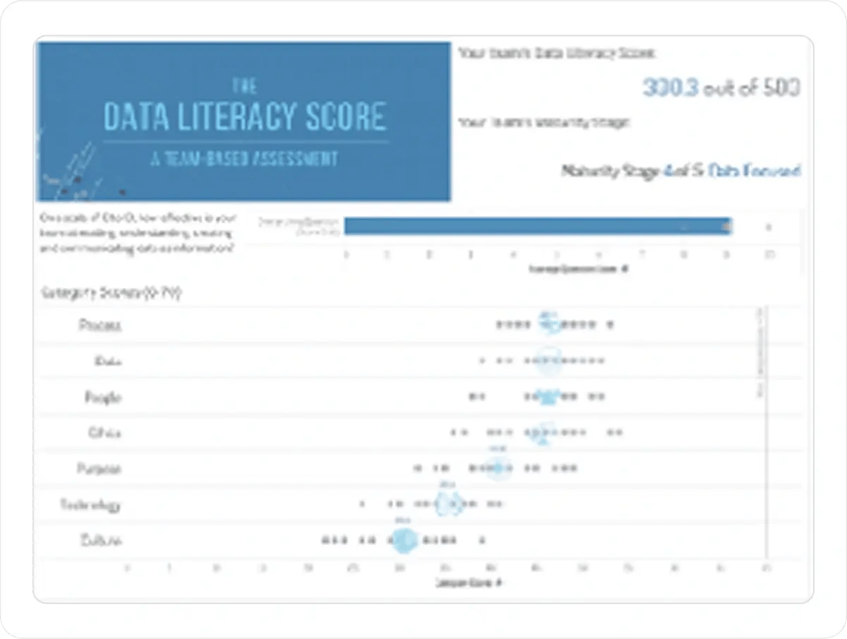 data-literacy-score