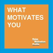 What Motivates You? Reiss Motivation Profile